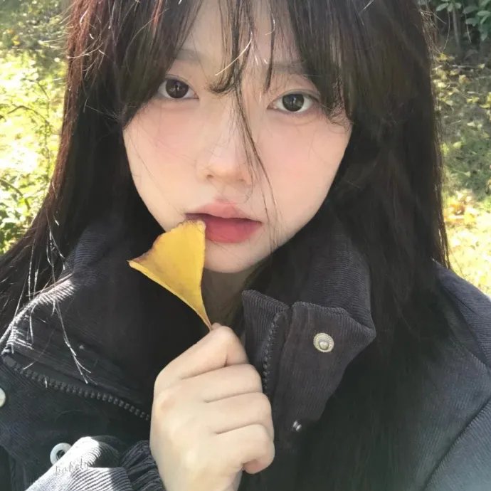 正午阳光